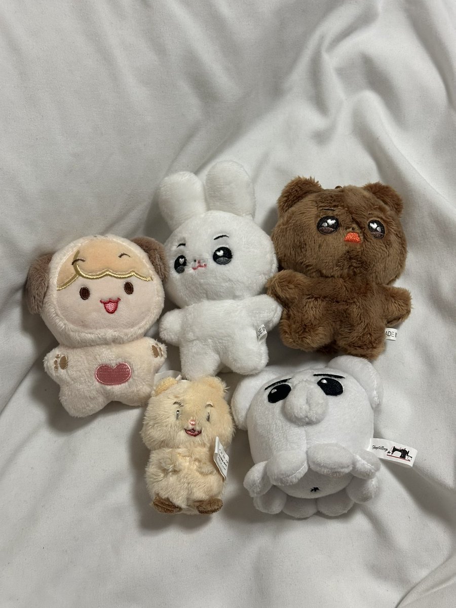 photocarddodo's tweet photo. 투바투 인형 양도합니다
개당 1.2
일괄 5.5

최콩 하뚜바투 하뚜빈 하뚜밤 무너밤 햄쭈빈 뿔바투 PPULBATU 더현대 수빈 연준 범규 태현 휴닝카이 황춘 최용멍 밤긋 다고냥 흠냐링 키링 인형 코파 코인 5만원 포토카드 특전 대리구매  soobin yeonjun beomgyu taehyun hueningkai poca photocard https://t.co/mntbL2e1Tm
