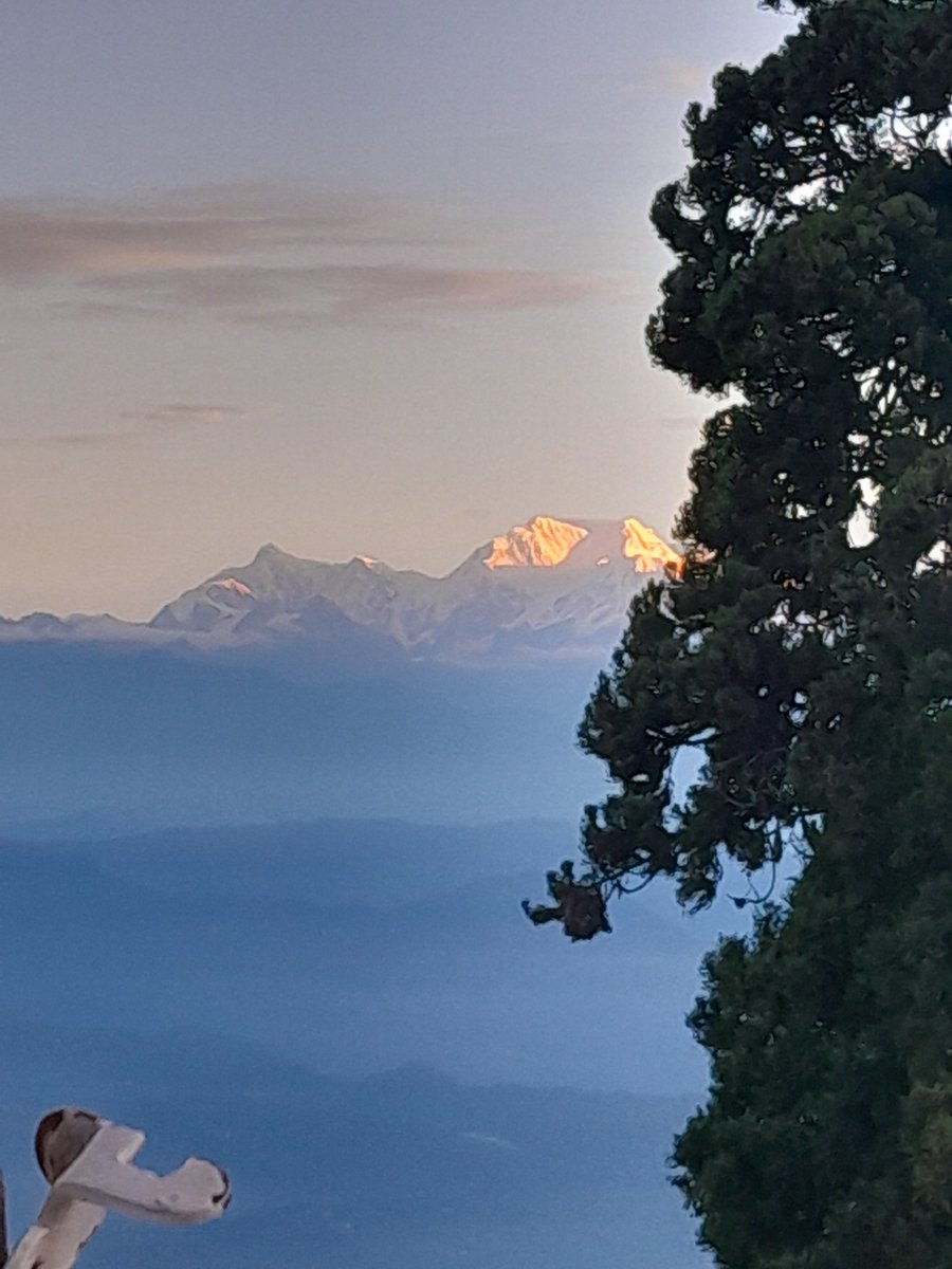 Mandira Pattnaik tweet media