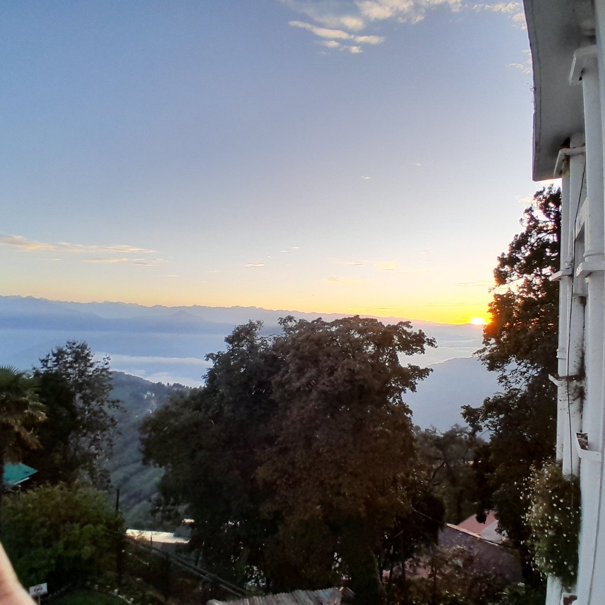 Mandira Pattnaik tweet media