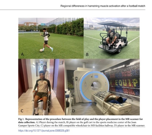 The Football Physio tweet media