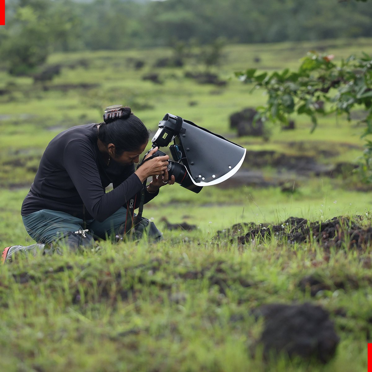 Canon_India's tweet photo. DCP Expeditions LLP, powered by Canon India, just wrapped up two breathtaking batches of the Macro Photography Expedition in the lush Western Ghats of Goa. Under the expert guidance of Saurabh Desai, Ashutosh Shinde, and Dr Caesar Sengupta, participants delved deep into the world of the minuscule, capturing nature’s intricate details with unmatched clarity.

Thanks to Surreal Frames for their enlightening session on filmmaking and cinematography, adding depth to our creative vision.

Ready to explore more? Stay tuned for the next chapter of #NatureTales

#CanonIndia #CANwithCanon #ClickwithCanon #NatureTales #CanonPhotography #PhotographyTips #Nature #MacroPhotography #WesternGhats #CanonClicks #DelightingYouAlways #expedition #photographysessions #naturephotography #trending #photoshoot #Goa