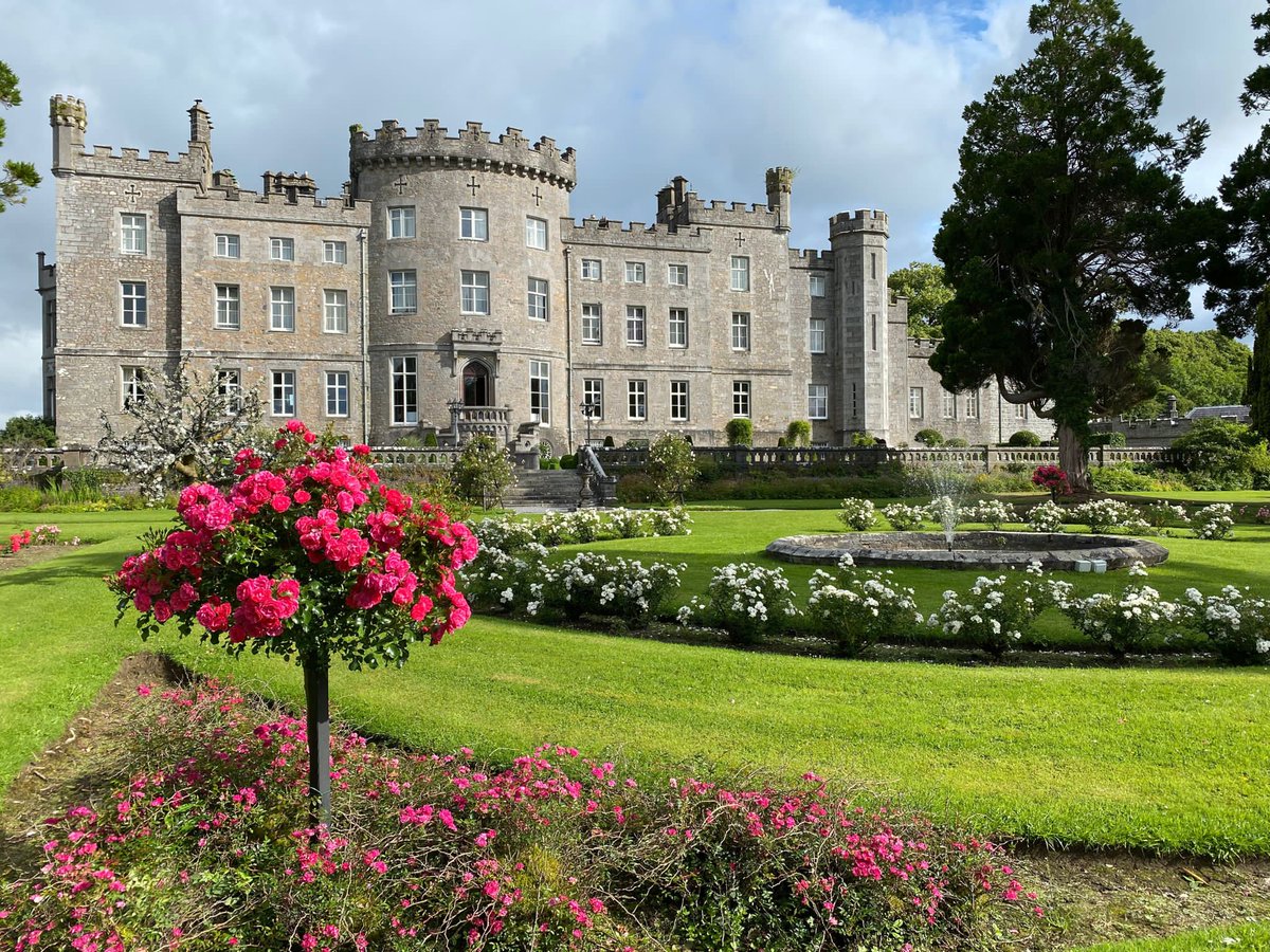 Markree Castle (@markree) on Twitter photo The beauty of Markree Castle never disappoints 🏰
#MarkreeCastle #Sligo #WildAtlanticWay #Ireland #WeddingVenue #IrishCastle The beauty of Markree Castle never disappoints 🏰
#MarkreeCastle #Sligo #WildAtlanticWay #Ireland #WeddingVenue #IrishCastle