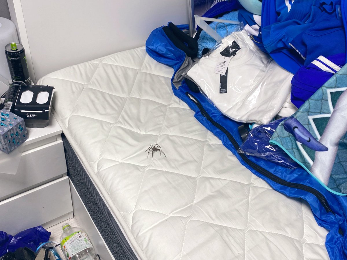 ヒデアキ@ハコティッシュ!!! (@Hakoshu_) / Posts / X