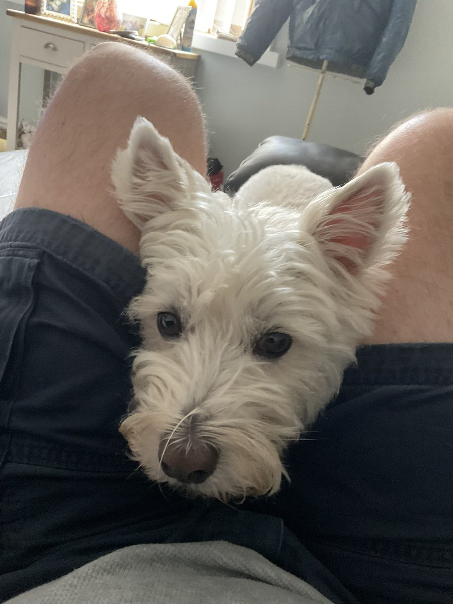 Look Dad we both know I’m going to win so just let me up on your chest so I can have a sleep!