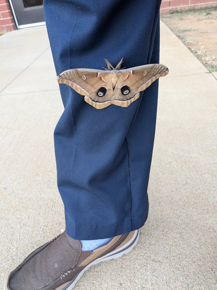 Mr.Jerry (@gerardo65931594) on Twitter photo 