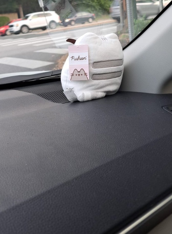 VTKattomy tweet media