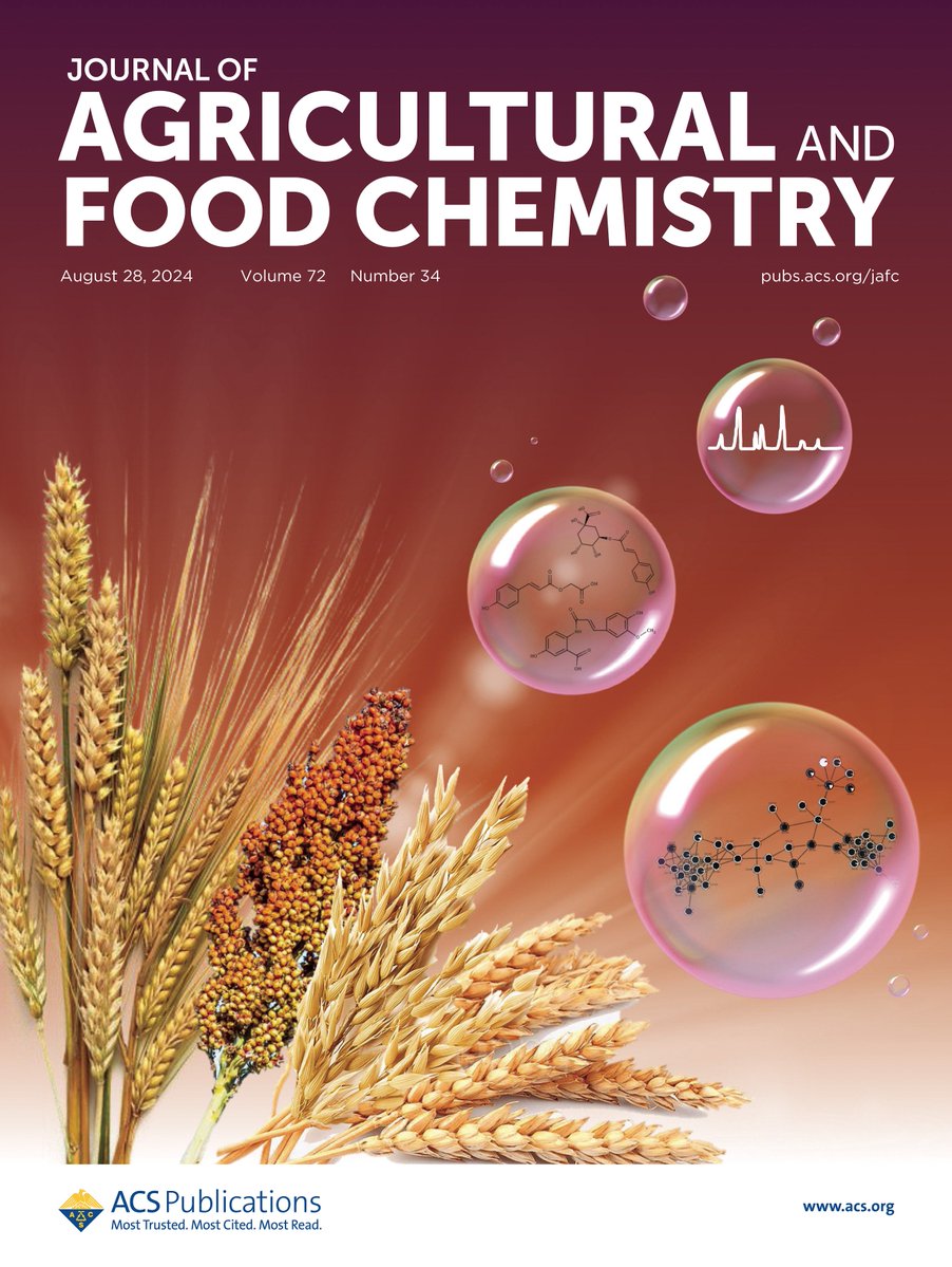 marilarraz's tweet image. The Front Cover Art of our manuscript "Overview of the Metabolite Composition and Antioxidant Capacity of Seven Major and Minor Cereal Crops" was published in Journal of Agricultural and Food Chemistry. @lucirslima @_micbs @alvaroferochoa @ACS4Authors #MyACSCover @UNIRIO_Oficial