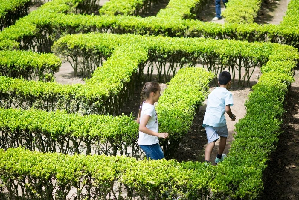 #AI is changing the game for customer service. Are you maximizing its potential? Learn about the benefits and challenges of AI in customer service and how to navigate the human-digital balance. tinyurl.com/4jsu3uxa #CX #CCTR #DigitalTransformation