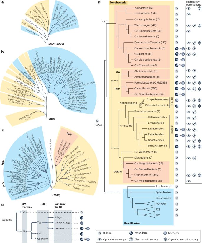 Akos T. Kovacs tweet media