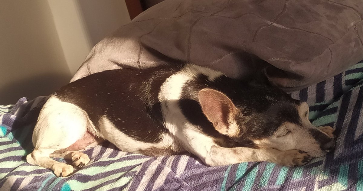 natan sem h. tweet media