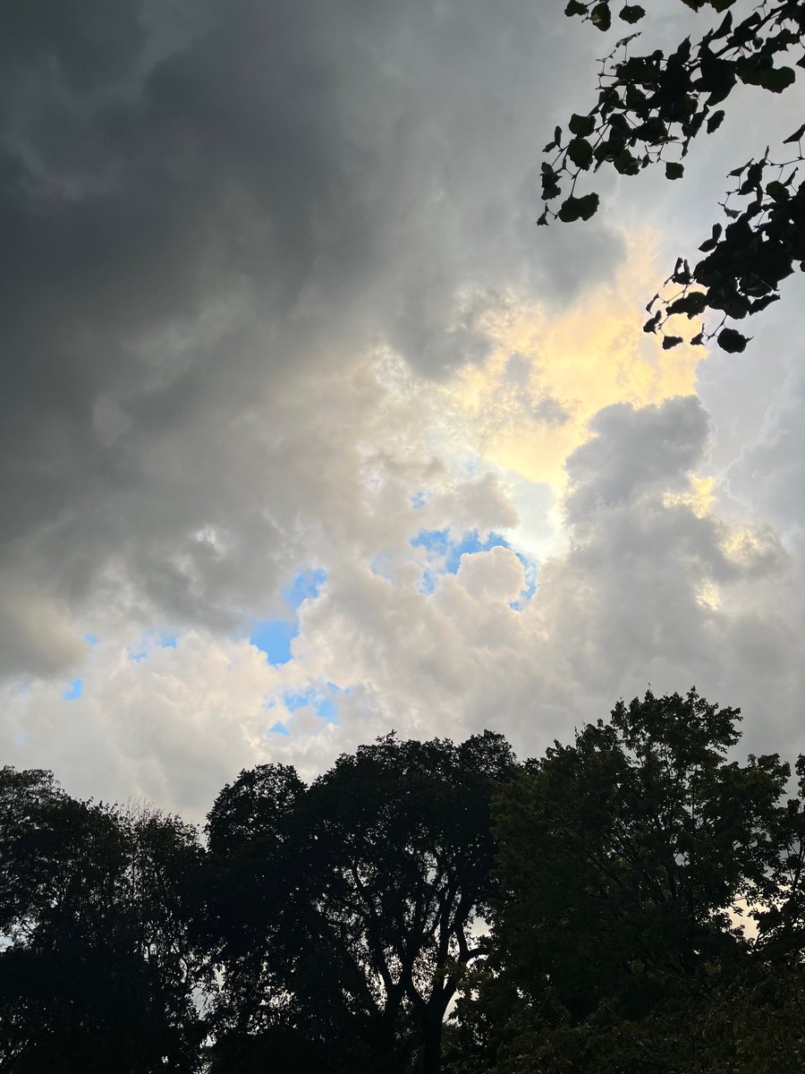 JeffGahrisForFPD tweet media