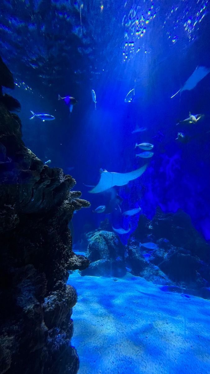 violettweets_'s tweet photo. blue. https://t.co/nNz3gjTb83