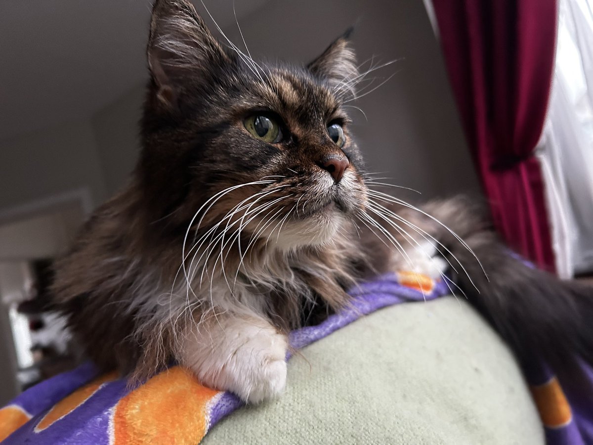 Hannah Rutherford (she/her) 🌱 tweet media