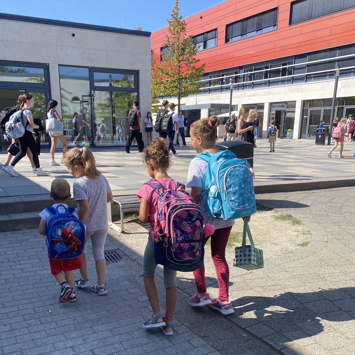 Big hearts come in small sizes. At FIS we care about each other and lend a helping hand when needed. Just a little reminder that we have plenty of new students on campus who may need a bit of support in their new environment. #kindness #newstart #togetherwegrow