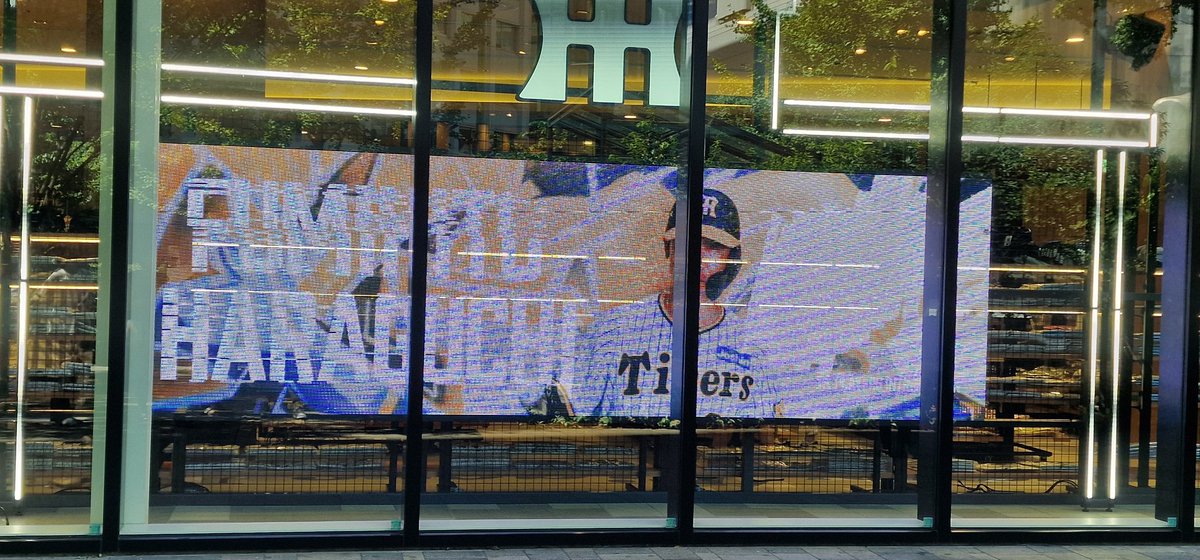 evilkachu's tweet image. 🥰🥰🥰