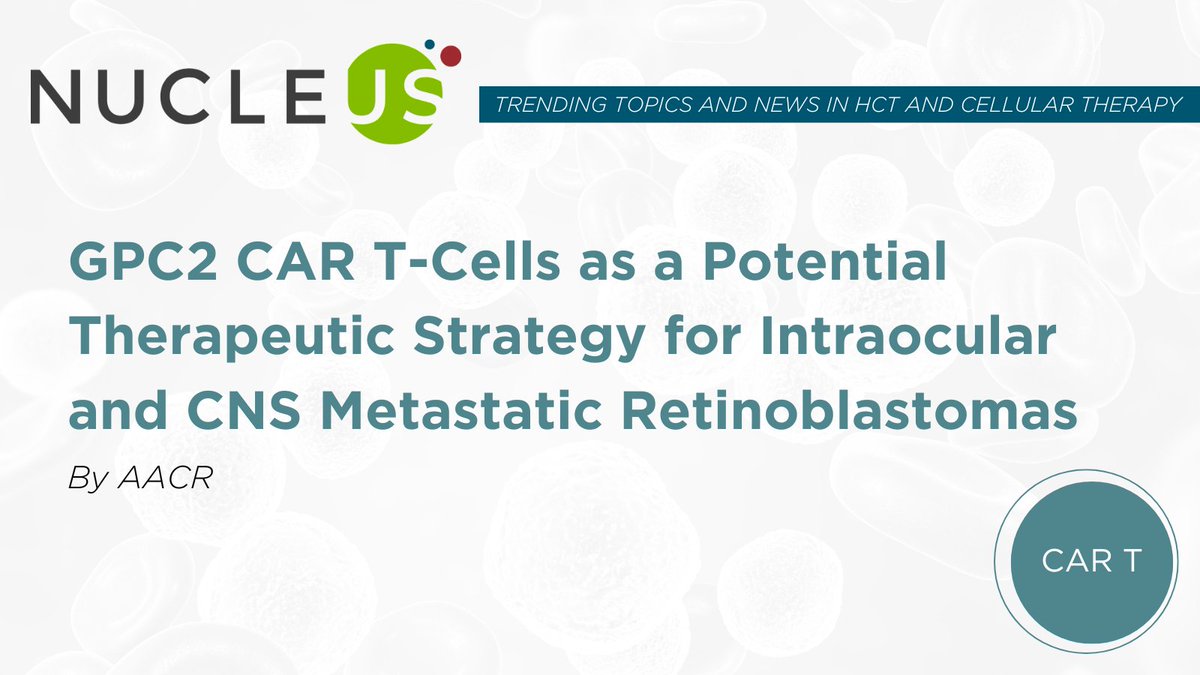 Research with human samples and mouse models found chimeric antigen receptor #CARTcells aimed at glypican-2 (GPC2) could delay ocular loss in patients with metastatic retinoblastoma. Read more on Nucleus, <a href="/ASTCT/">ASTCT</a>'s content hub: ow.ly/KeEw50T6FLz