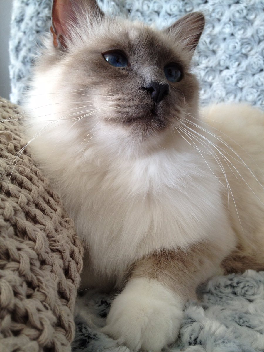 Et sinon, c’est quand le repas de gala ? Parce que 13 ans c’est pas tous les jours !!