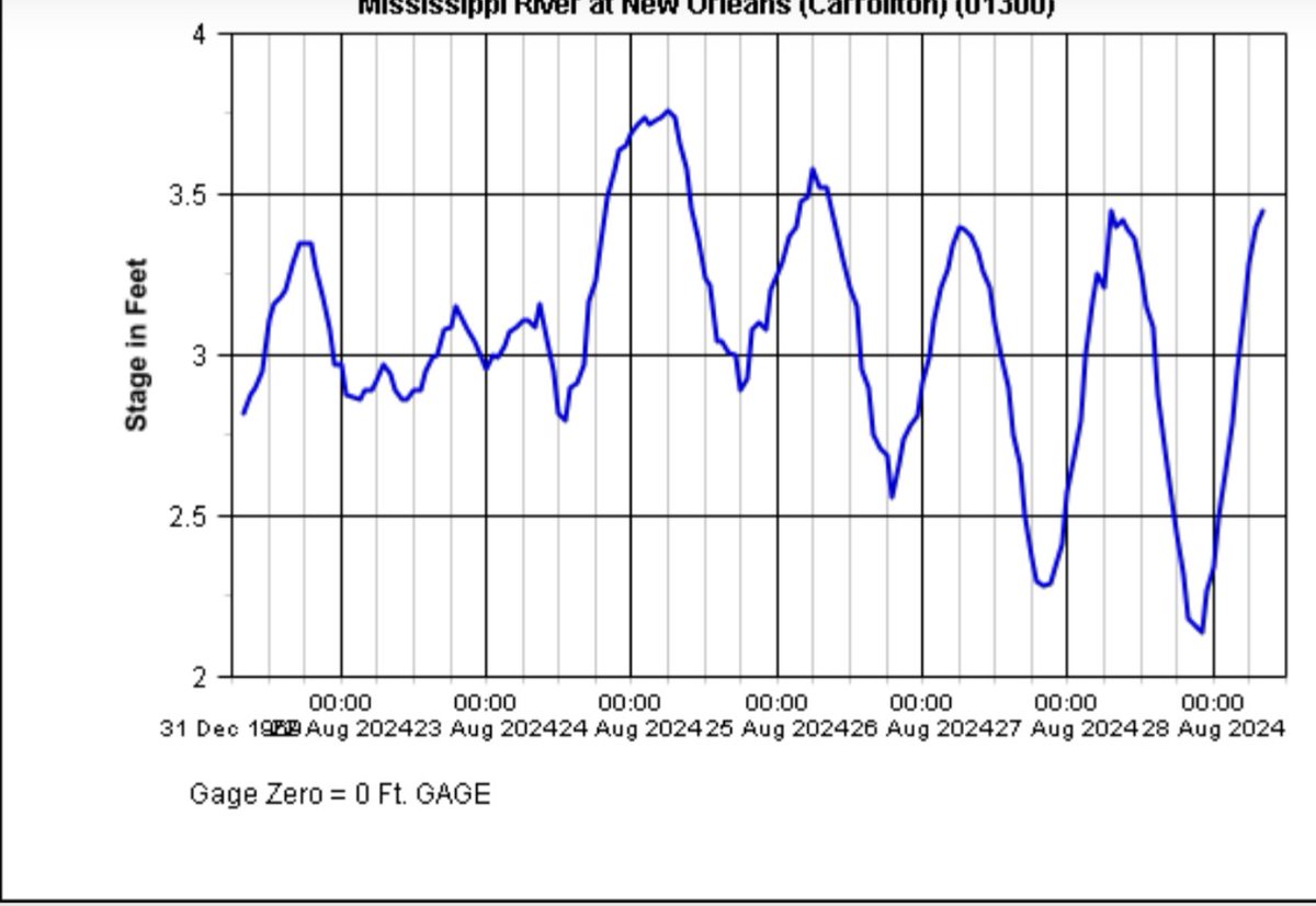 Jeff Adelson tweet media
