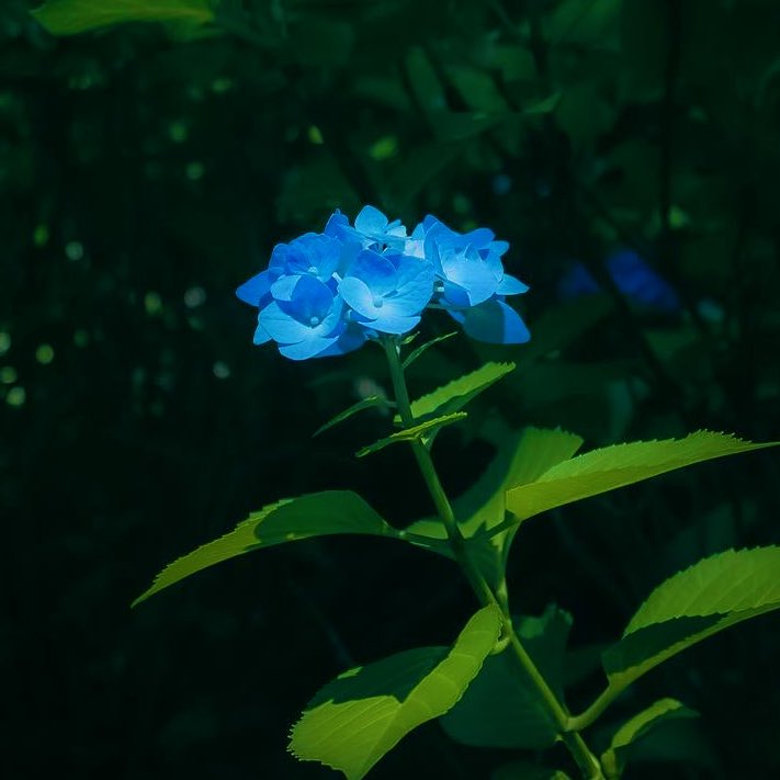 めい‎‎‎‎ tweet media