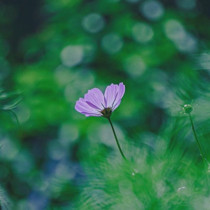 めい‎‎‎‎ tweet media