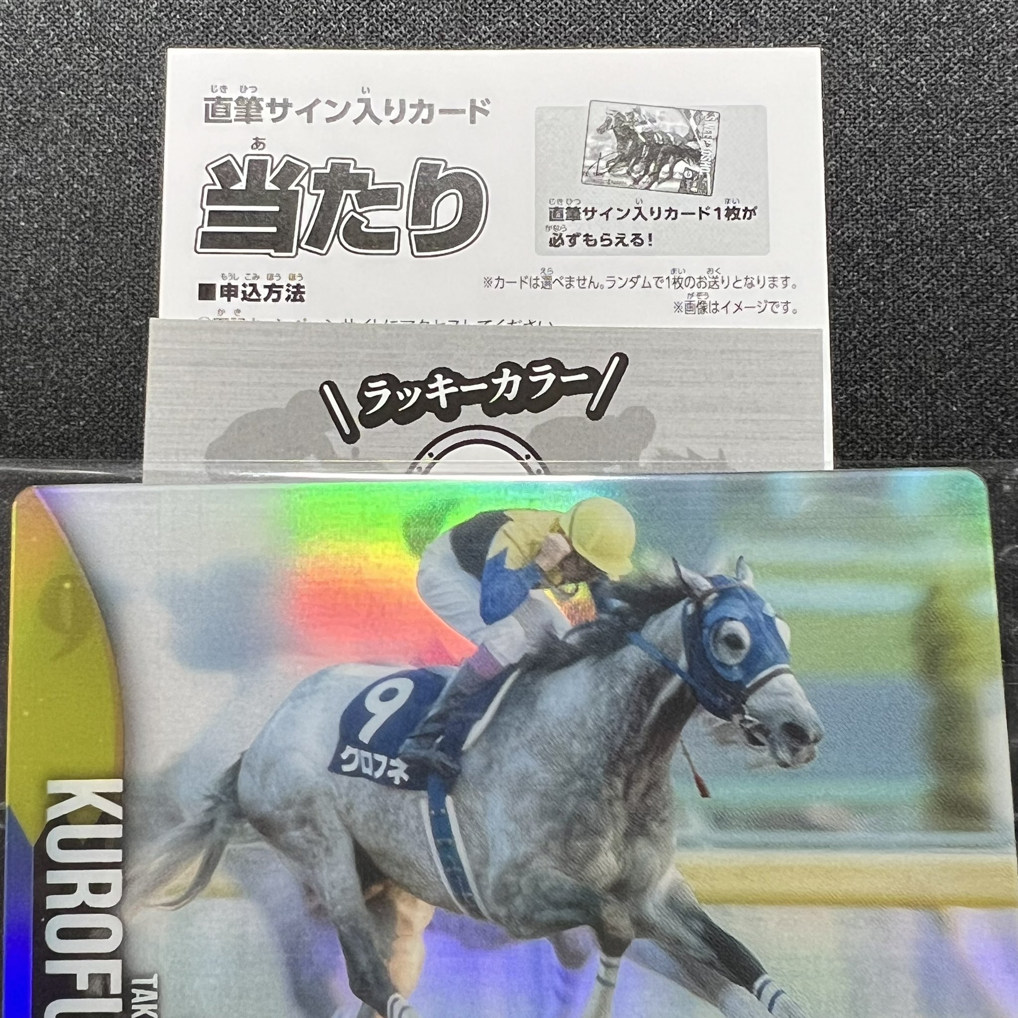 サラブレッドホースコレクション 直筆サイン 武豊騎手