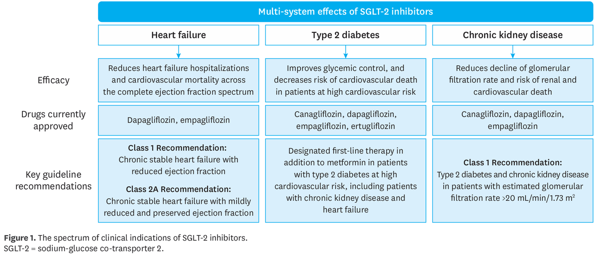 SGLT2i indications in CKD #Nephpearls

👉 <a href="/JavedButler1/">Javed Butler</a> pubmed.ncbi.nlm.nih.gov/37180562/ 
👉 <a href="/goKDIGO/">KDIGO</a>  pubmed.ncbi.nlm.nih.gov/38490803/
