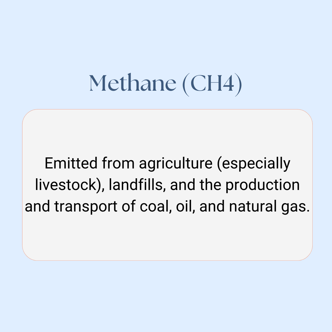 G13Plus's tweet image. During carbon accounting, several key greenhouse gases (GHGs) are quantified. GHGs are crucial players in our planet's climate system. These gases trap heat in the Earth's atmosphere, creating a "greenhouse effect" that warms the planet. So what are the main GHGs?