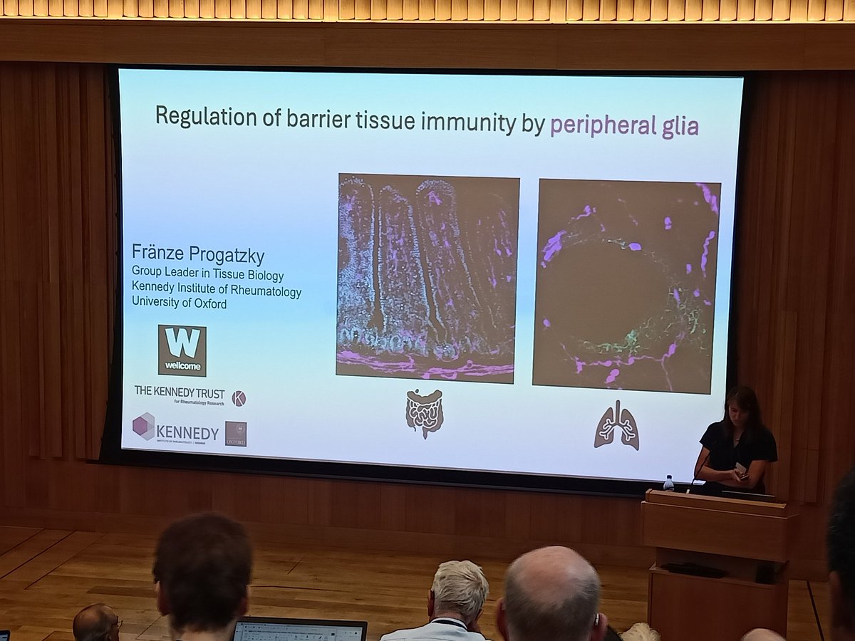 LakshanieW's tweet image. Super cool talk by @FranzeProgatzky 🎉 at the #LabtoClinic conference at Trinity college, on function of glial cells in the gut 🔬! @KirOxford @ndorms @OxImmuno @NDMOxford