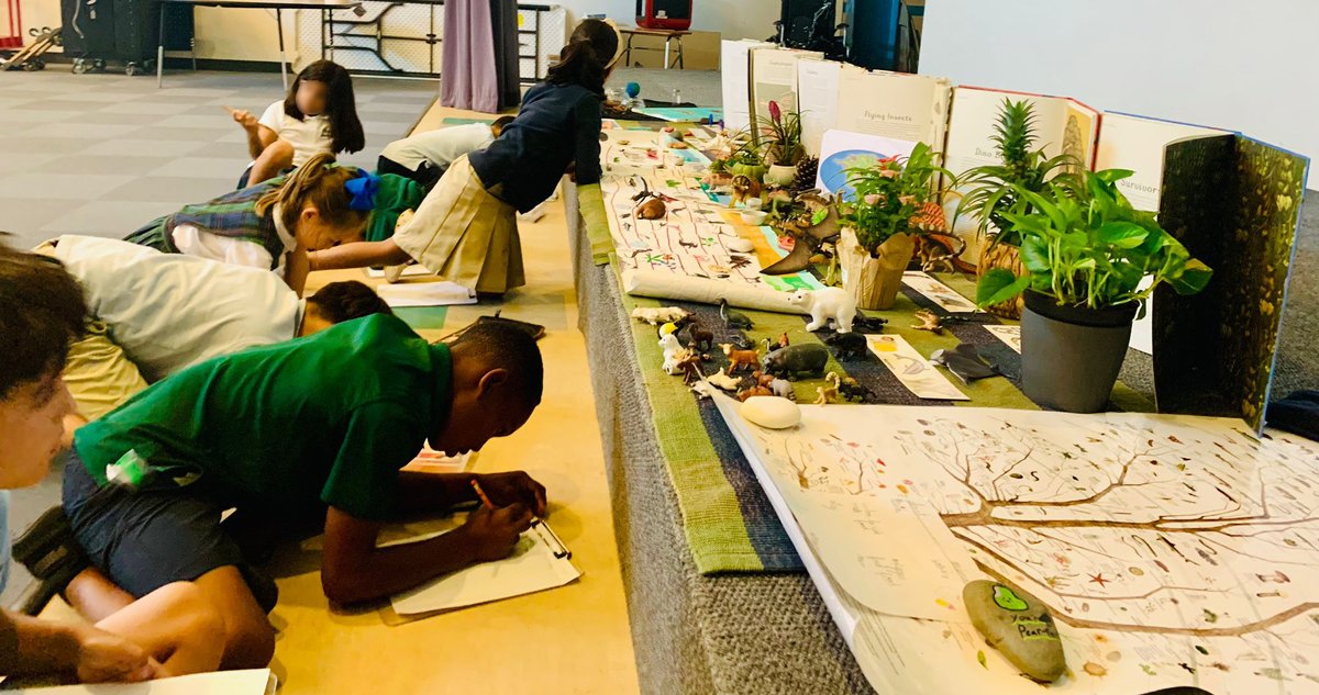 MontessoriHTX's tweet image. 🌍✨ Our #LowerElementary #students have completed the #SecondGreatLesson: The Story of Life on Earth! This important lesson in the #Montessori philosophy sparks #curiosity about the natural world &amp;amp; helps #children understand the #interconnectedness of all living things. 🌿🐢