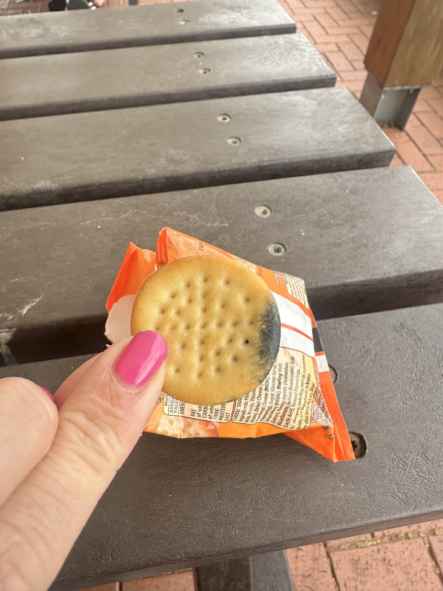 Alice Wadsworth tweet media