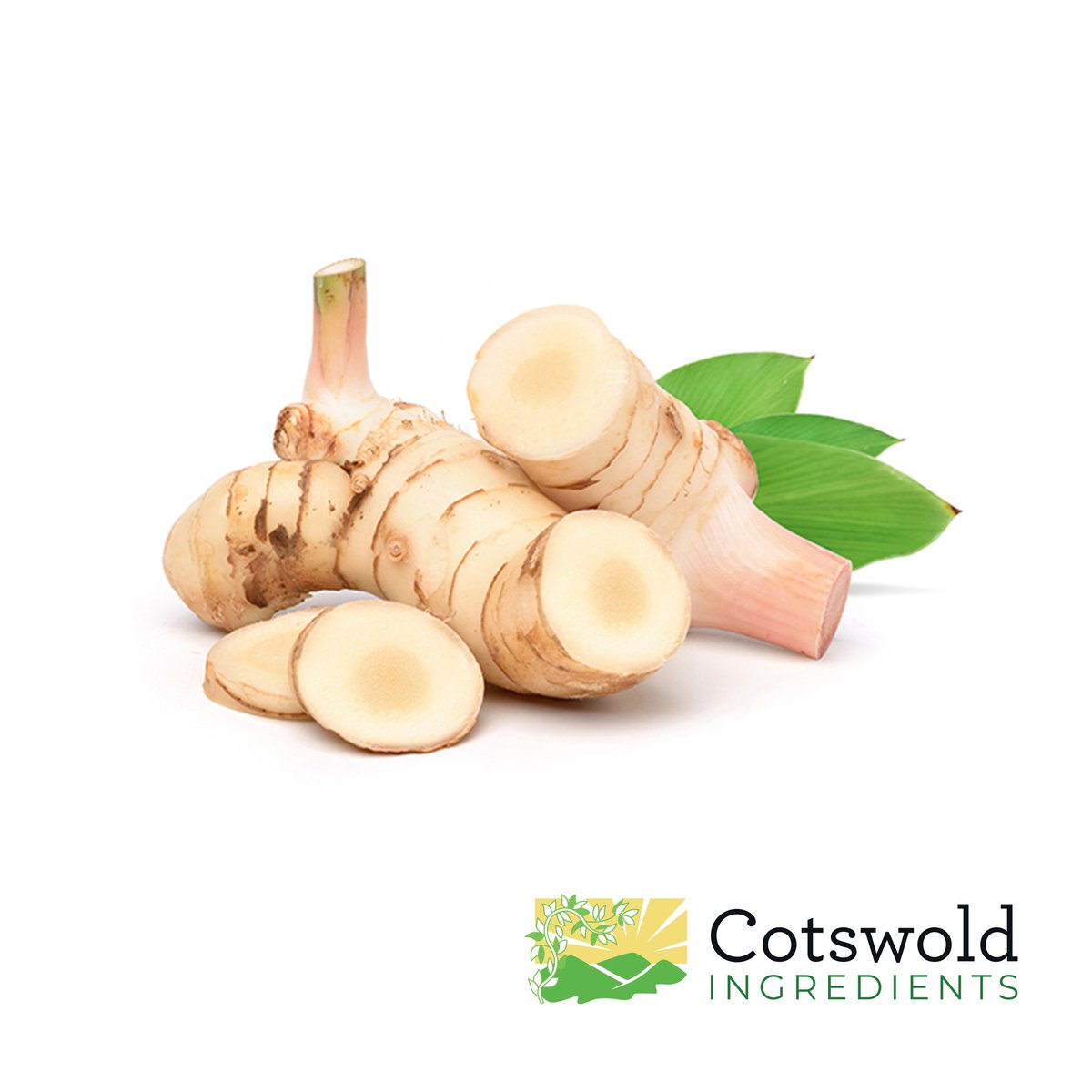 🌱 GALANGAL 🌱

We are excited to announce that we are expecting a new Galangal crop in September! 🙌

📞 Call Now: +44(0)1453 843694 
📧 Email Us: sales@cotswoldingredients.co.uk
🌐 cotswoldingredients.co.uk/?s=galangal

#Galangal #GalangalRoot #GroundGalangal #QualityIngredients
