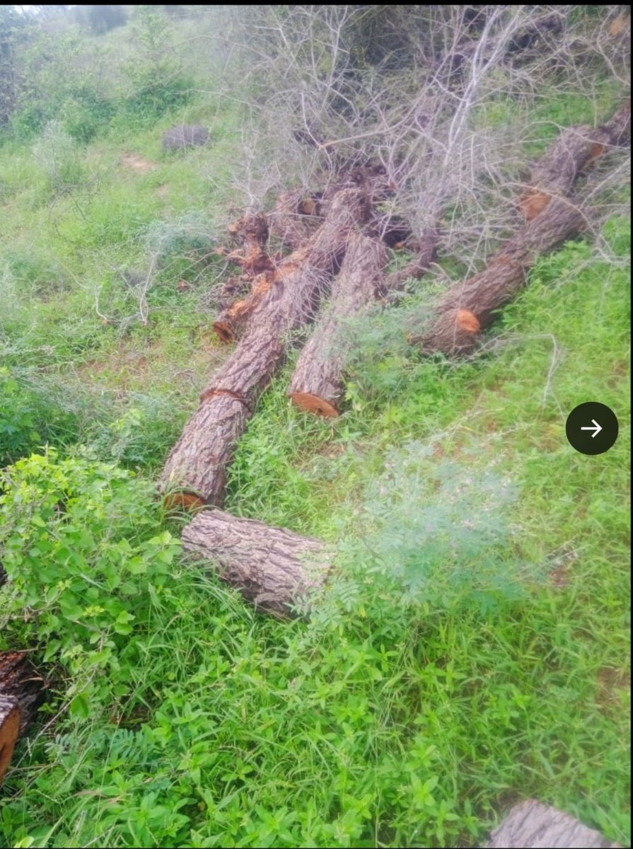 पर्यावरण के लिए बात करना बहुत अच्छी बात है लेकिन इतना लंबा है # बना देते हैं और फिर बोलते हैं साथ दीजिए, इतना लंबा # कभी जिंदगी में ट्रेंड नहीं होता 🙏🙏बस भावना में बहकर ऐसे ही बना देते हैं और फिर बोलते हैं साथ दीजिए, दोस्तों की एनर्जी वेस्ट 

#सिणधरी_का_सोलर_प्लांट_रद्द_करो
