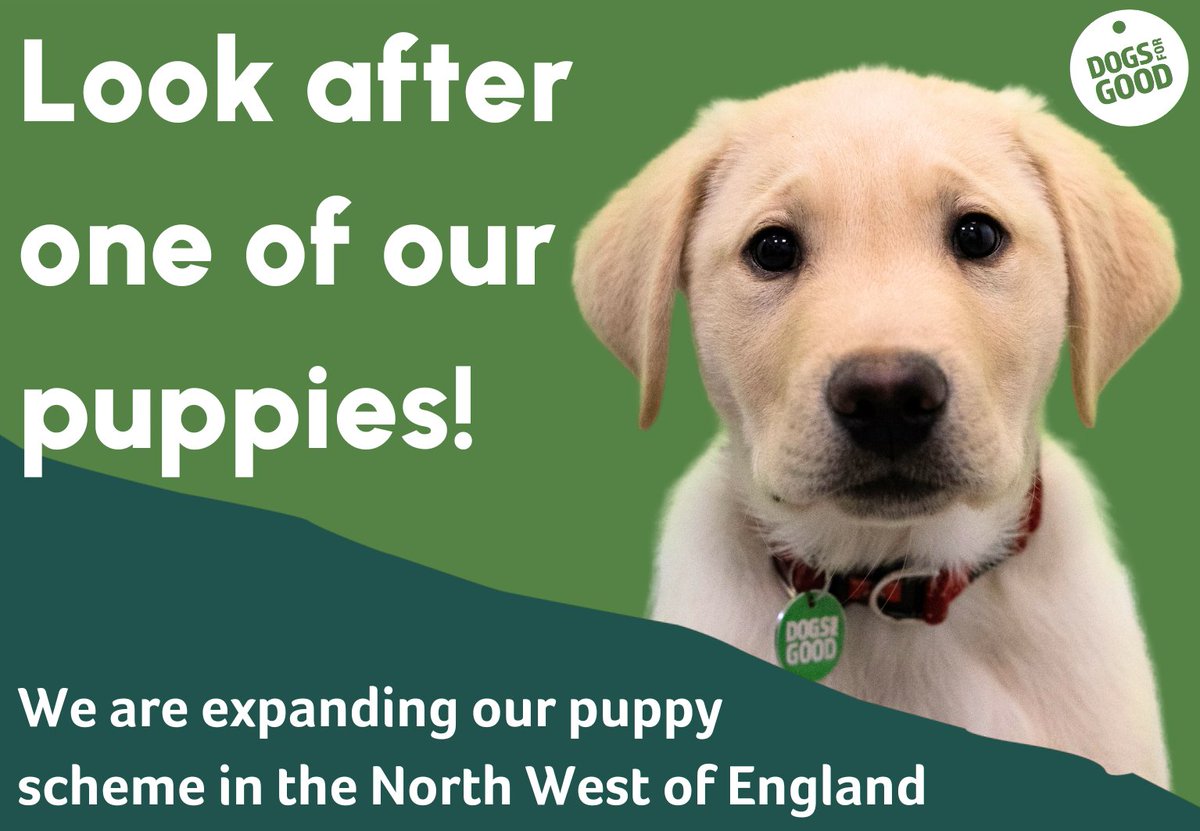 DogsForGoodUK's tweet photo. We are excited to announce the expansion of our puppy scheme area to include Blackburn, Accrington, Rawtenstall, Darwen, Bolton, and surrounding areas.

If you are interested in volunteering to raise a Dogs for Good puppy, please register here: https://t.co/WbzbYsrnfT https://t.co/FElJnf5Zzt