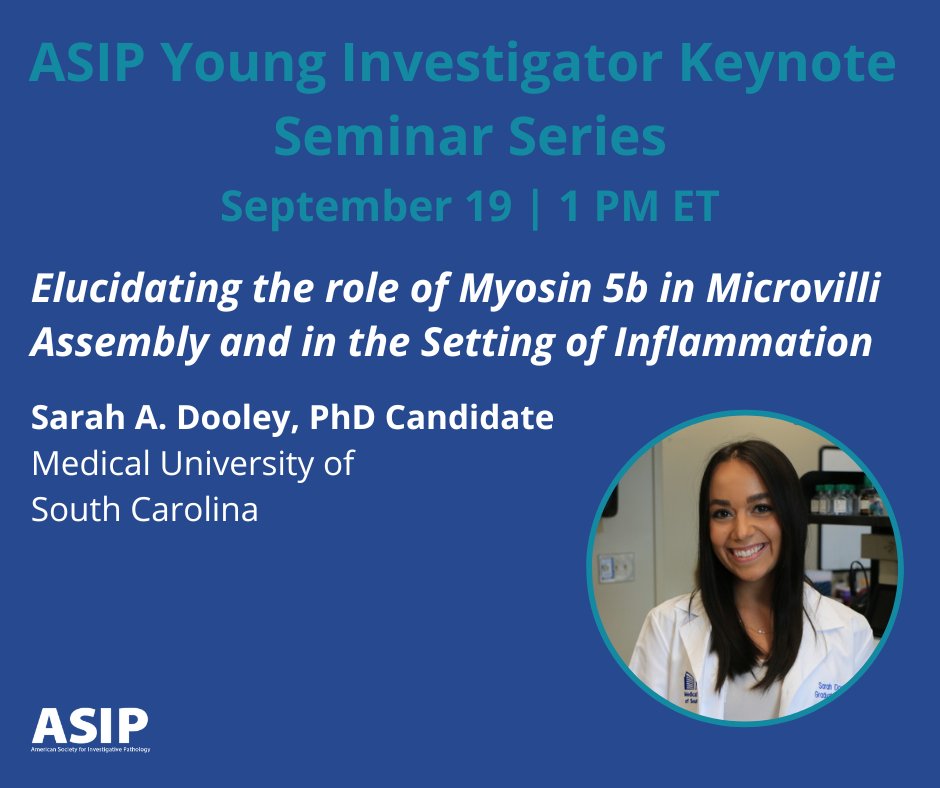 ASIPath's tweet photo. The September Young Investigator Seminar features Sarah Dooley (@ScientistSarah_), a PhD Candidate from @MedUnivSC! Register now to join us on Thursday 9/19 at 1 PM ET https://t.co/ixHreLEIFF

#ASIPvirtual #ASIPwebinar https://t.co/NEGtDBBA35