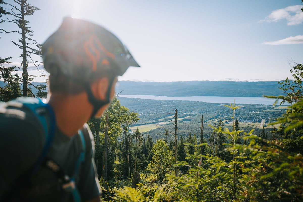 Introducing Pasadena's Newest Mountain Bike Trails! 🌲
! Our brand-new mountain bike trails in Pasadena are now officially open! 
👉 For more information, check out our trail map and details here.
buff.ly/4g4ZXOQ  
#UnveilTheTrails #ExperiencePasadena #MountainBiking