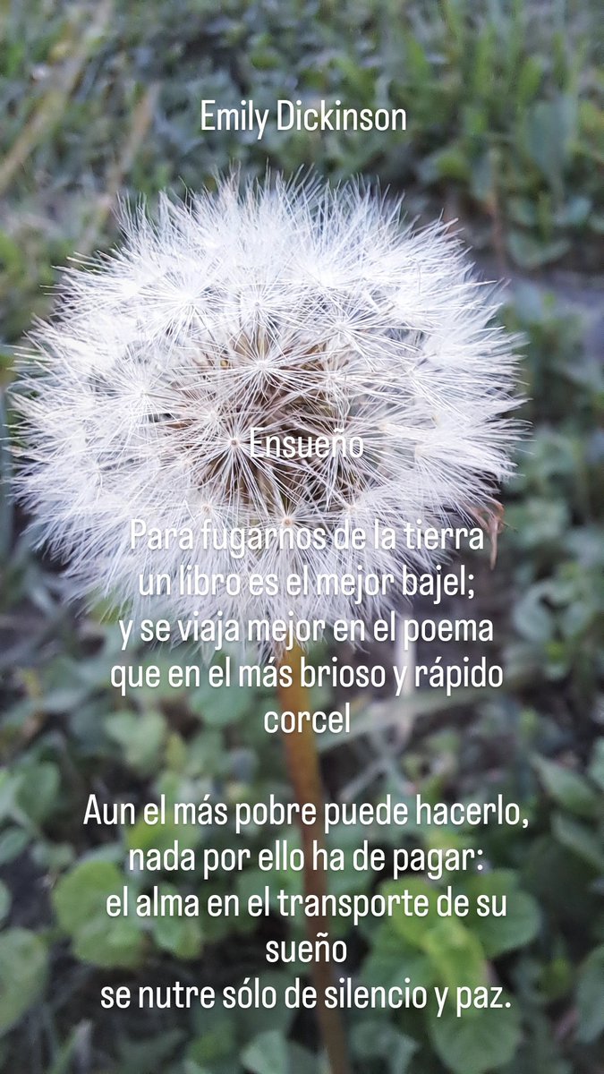 emi_yanez's tweet photo. Ensueño

Para fugarnos de la tierra
un libro es el mejor bajel;
y se viaja mejor en el poema
que en el más brioso y rápido corcel

Aun el más pobre puede hacerlo,
nada por ello ha de pagar:
el alma en el transporte de su sueño
se nutre sólo de silencio y paz.

Emily Dickinson https://t.co/QzCBl66StI
