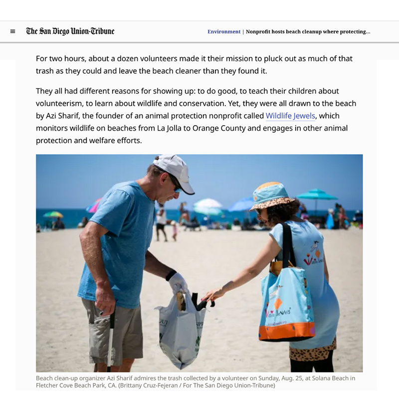 WildlifeJewels's tweet photo. We're thrilled to see Wildlife Jewels' “Sweep for Wildlife” Community Beach Cleanup Solana Beach  featured in The San Diego Union-Tribune!  
 https://t.co/wuoMhFus3X
#SolanaBeach #Ocean #BeachCleanup @sdut @SolanaChamber @CitySolanaBeach @natureforall https://t.co/AnqJQNhaDq