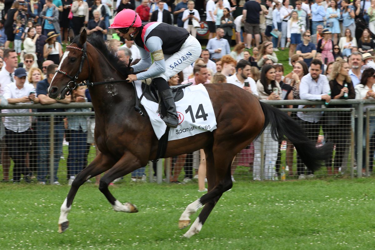Deutscher Galopp (@deutschergalopp) on Twitter photo SPANISH EYES (3yo f) - (Zarak x Sortilege)
Owned by Gestüt Karlshof
Bred by Gestüt Karlshof
In training with Andreas Wöhler
<a href="/ThoreHammer/">Thore Hammer Hansen</a> rides
🥈G1 166. Henkel-Preis der Diana - 🇩🇪 Oaks
Current rating: 110
Earnings: 106.000€ SPANISH EYES (3yo f) - (Zarak x Sortilege)
Owned by Gestüt Karlshof
Bred by Gestüt Karlshof
In training with Andreas Wöhler
<a href="/ThoreHammer/">Thore Hammer Hansen</a> rides
🥈G1 166. Henkel-Preis der Diana - 🇩🇪 Oaks
Current rating: 110
Earnings: 106.000€