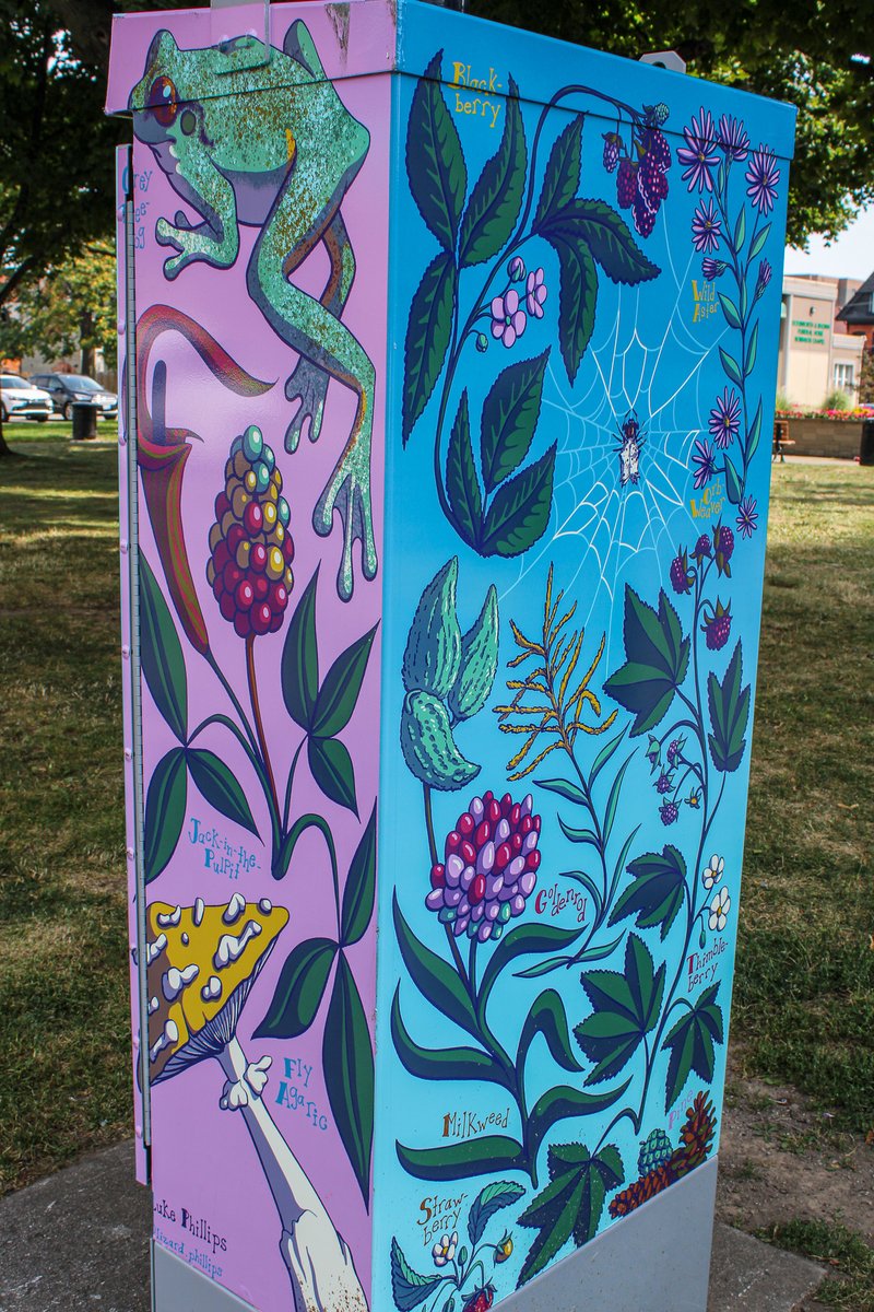 International Village BIA tweet media