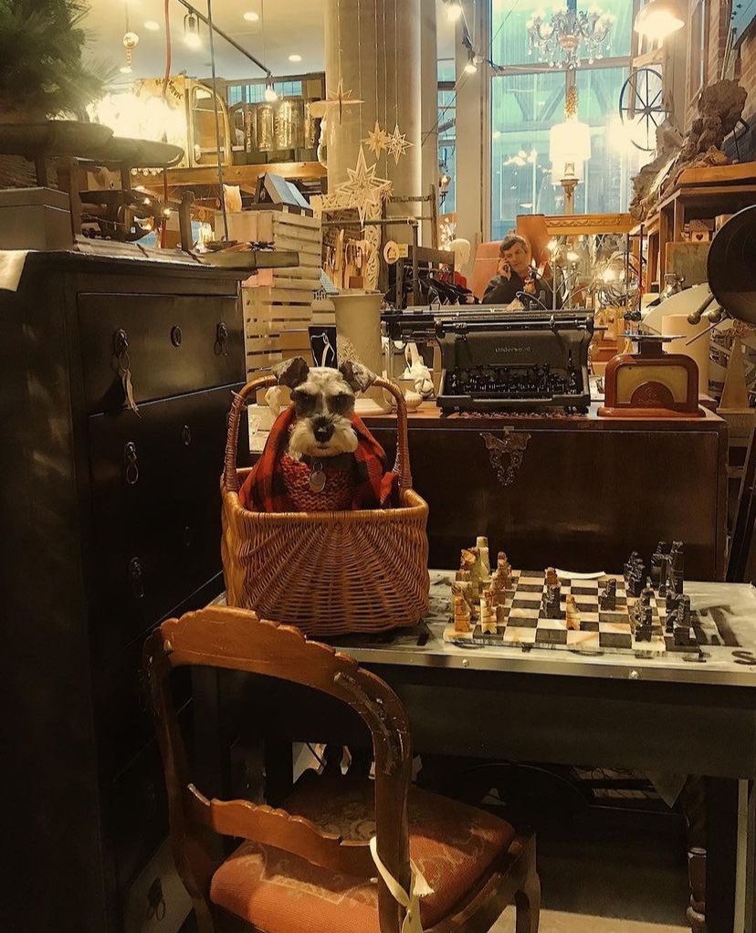 ᅠ
ᅠᅠᅠ
    
ᅠᅠ         𝑨𝐔𝐆𝐔𝐒𝐓 𝑮𝐑𝐈𝐅𝐅𝐈𝐓𝐇 𝑴. 
        𝑝𝘩𝑖𝑙𝑜𝑠𝑜𝑝𝘩𝑦              𝑠𝑡𝑢𝑑𝑒𝑛𝑡
      (ᴅ̵ᴀ̵ᴅ̵ ᴛ̵ᴏ̵ ʙ̵ᴇ̵) 𝑐𝑎𝑚𝑏𝑟𝑖𝑑𝑔𝑒'𝑠 𝑏𝑜𝑦
                        𝐎𝐋𝐃!𝐀𝐔

ᅠ