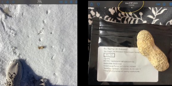 Shanneighteen's tweet image. #DirectComms #PEPSI=65=6.14🐣=#Lavalle  @ #addy 
56964=264=4.26=#Day208=66=🛻@2:53=5:5 
#Imnotfromhere 
#FrontRowJoe 
#HOODUP=#FF #BankRobbery on Feb. 3=11.3=Aug. 29=#Day242 
#Battery=91=#GodWins 
#GATORADE=71
#LotsfCHIPS 
#DrillBABYdrill 
#MUD=434=74=#Jesus=38=#Godwink 
🥜