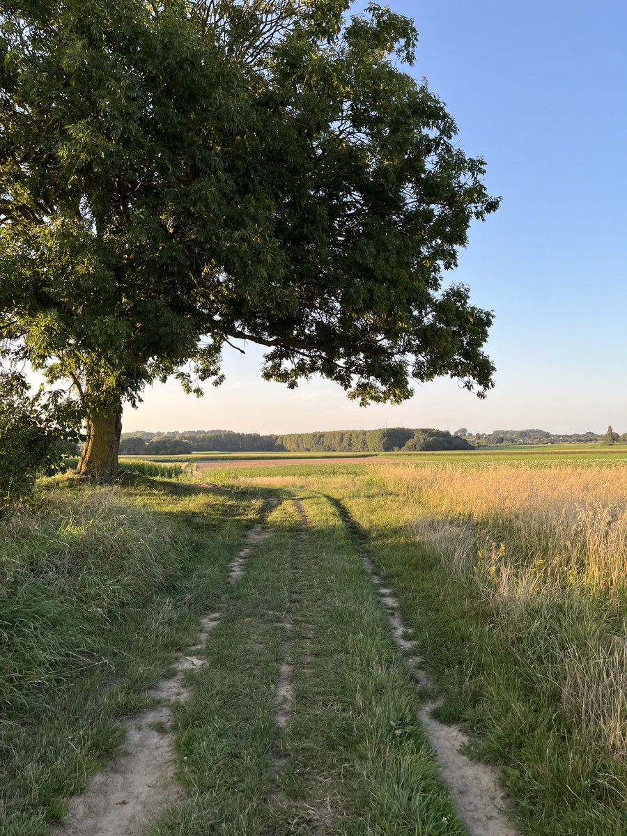 johanzanardi's tweet photo. Brabantse kouters in Kobbegem en dan via Mollem naar Asse en zonsondergang tussen Bodegem en Ternat op de grens met het Pajottenland. #Kobbegem #Merchtem #Ternat https://t.co/l8pPL9HNdE