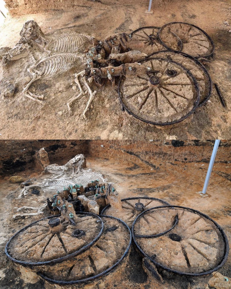 GanaConArte's tweet photo. Hilo 🧵 de increíbles figuras con más de 1000 años de antigüedad.  

1. En 2008, los arqueólogos descubrieron un carro de 2000 años de antigüedad con esqueletos de caballos. https://t.co/64pLpH840Z