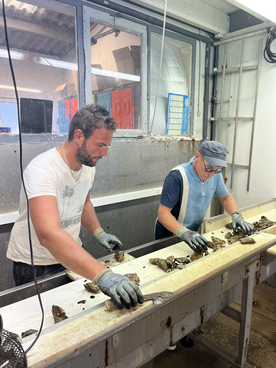 It has been a great pleasure to visit Huîtres POGET with Albert Adrià and Rafa Zafra 🦪

We observed the entire oyster farming process, from the collection of its larvae to its purification. A great day of learning that, as always, we will share on GastroBio 🙌🏼
