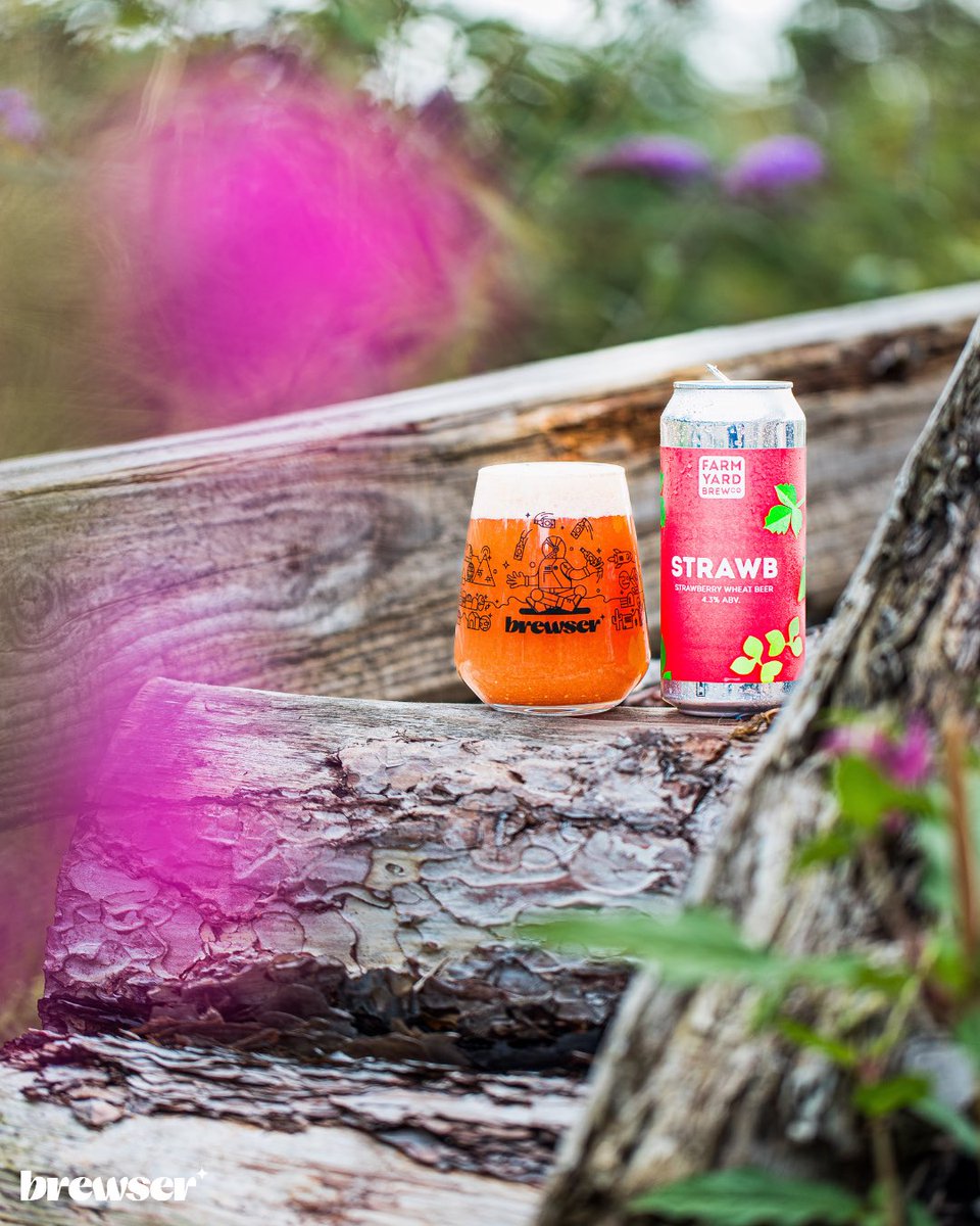🍓Holding onto summer with this Strawberry Wheat Beer

Summer is not over yet! And the forecast is looking good ☀️

@farmyard have the thirst quencher you need ’Strawb’ a continental wheat beer with the addition of 200 g/L of strawberry puree. Pours a delicate pink hue with a