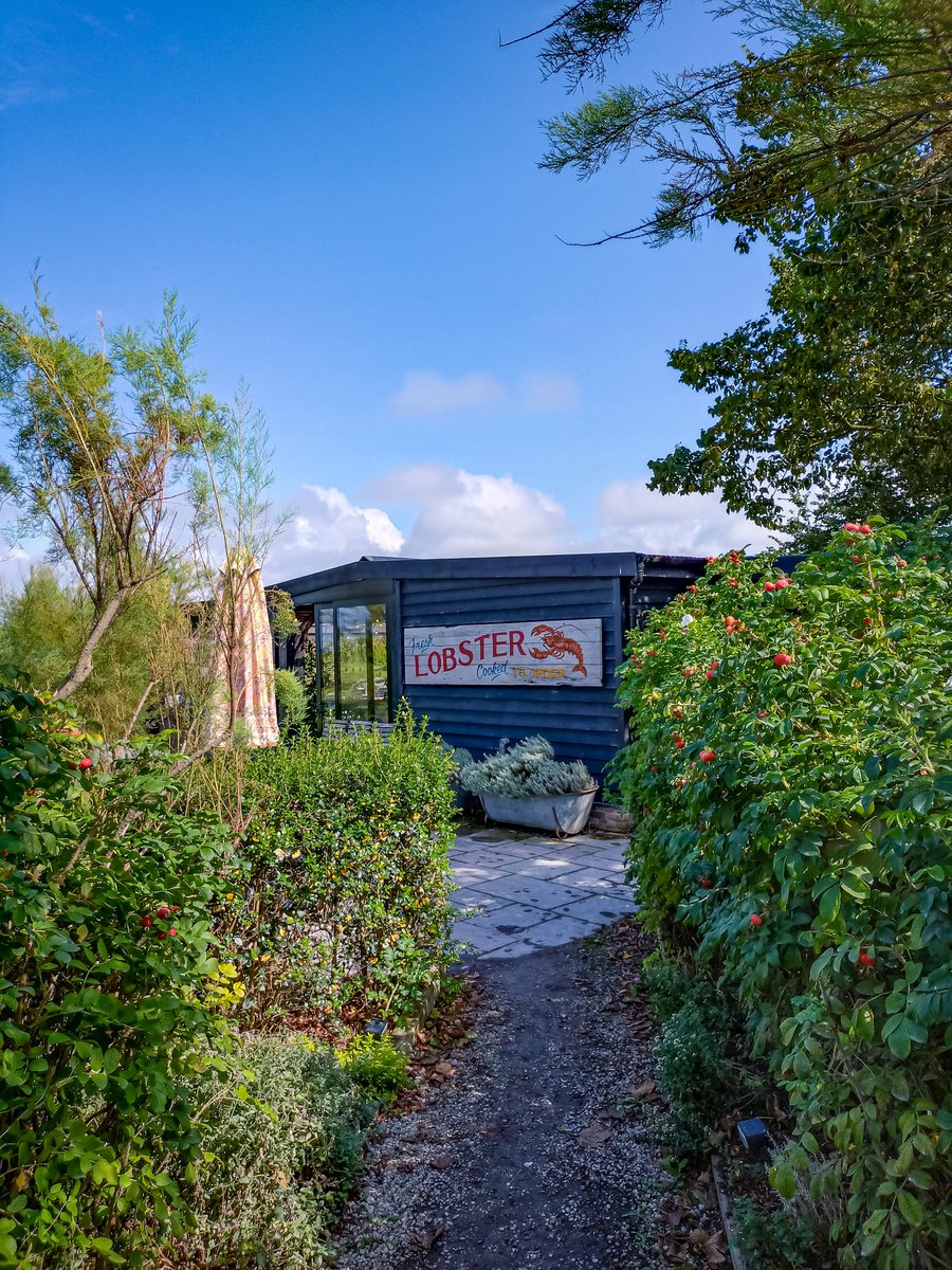 Rob Hosking tweet media