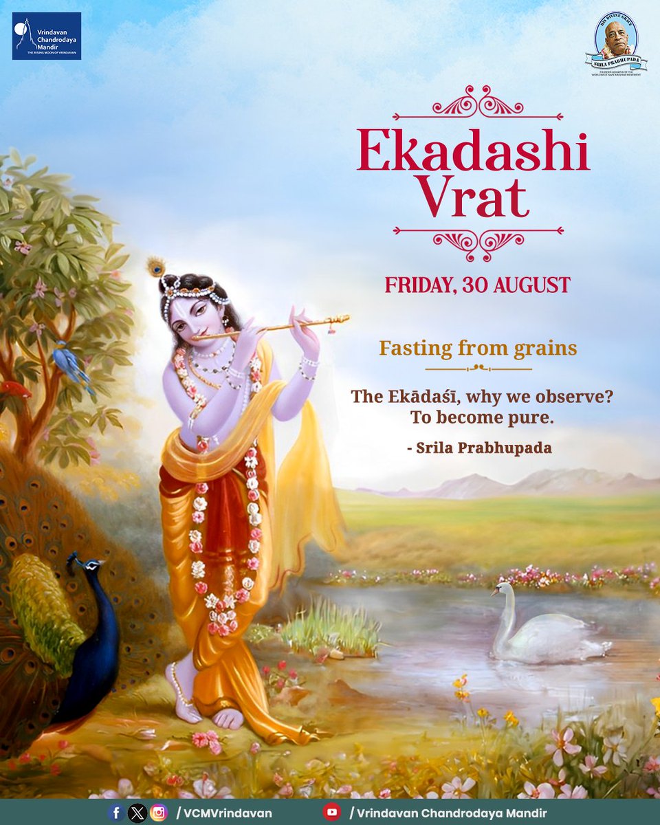 VCMVrindavan's tweet photo. Tomorrow (Friday, 30th August) is Ekadashi Vrat. Recommended for fasting from grains.
#vrindavanchandrodayamandir #vrindavan #tallesttemple #ekadashi #Annada #srilaprabhupada #krishna #radha #harekrishna https://t.co/SBjdwyQCPD
