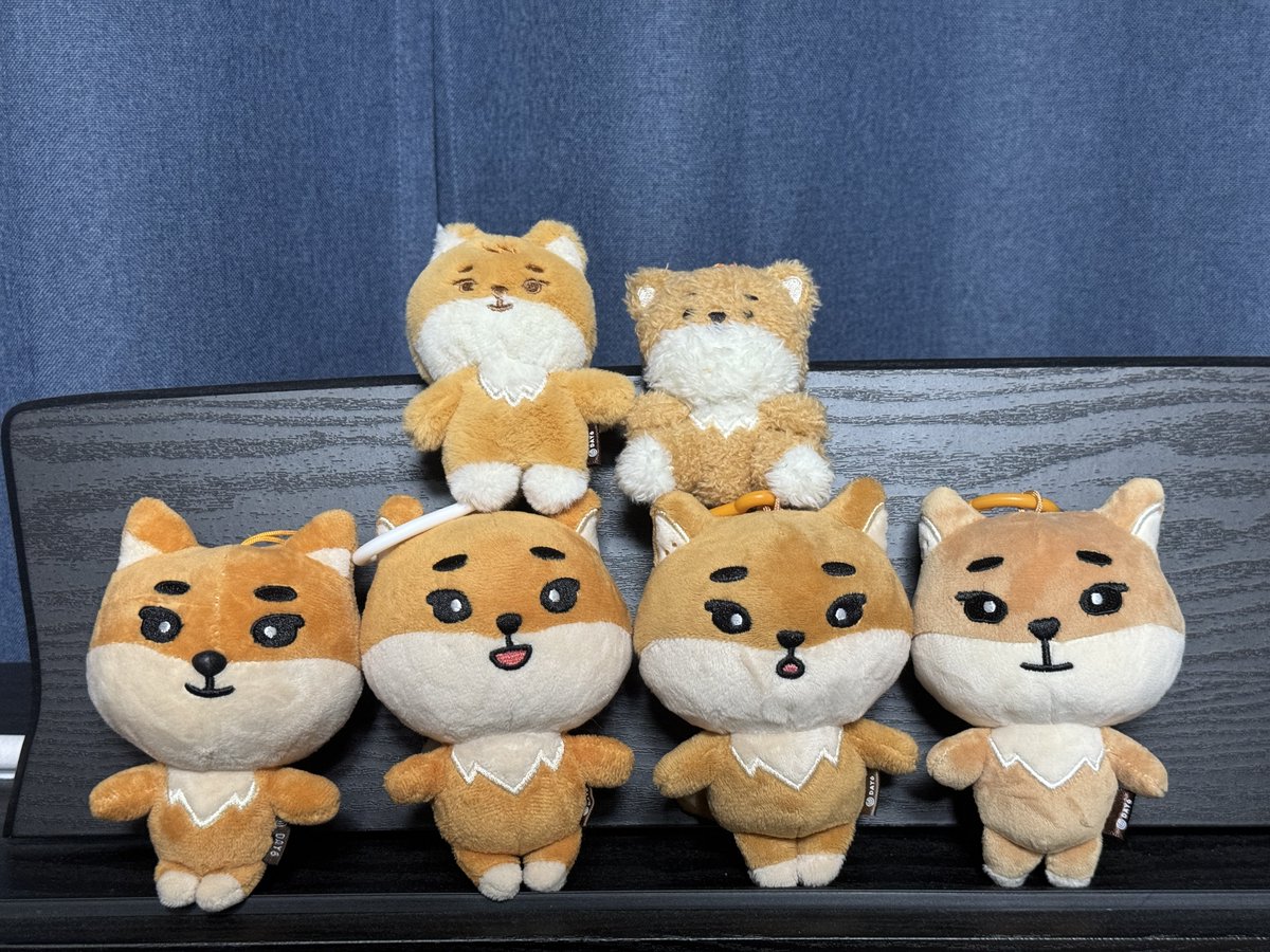 two_paws_up's tweet photo. 감돌이네 케둥이들을 소개합니다
짜잔 순서대로

                         쁘띠케    쁘띠케(sitting ver)
           18케         19케           22케          24케 https://t.co/IE2SK5BOZY