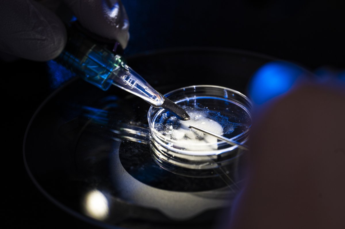 ResearchAtNU's tweet image. Surprisingly little is known about #DeerTicks. But that could soon change as this new @Northeastern lab aims to solve the mysteries of the #ticks and bacteria that cause #Lyme.

Read more: bit.ly/3X2OEh9
