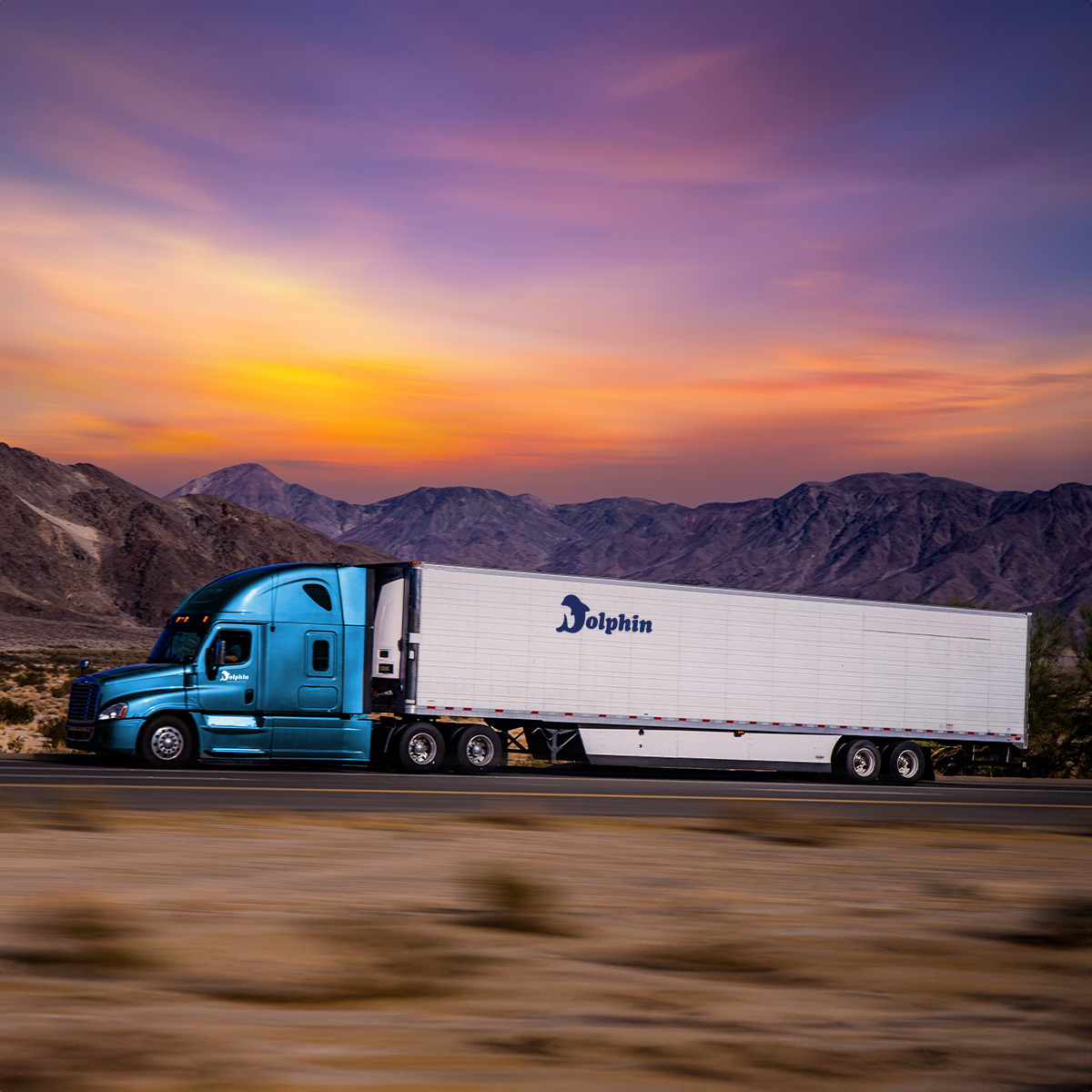 Leave the logistics to Dolphin Delivery. We're committed to driving your company forward.